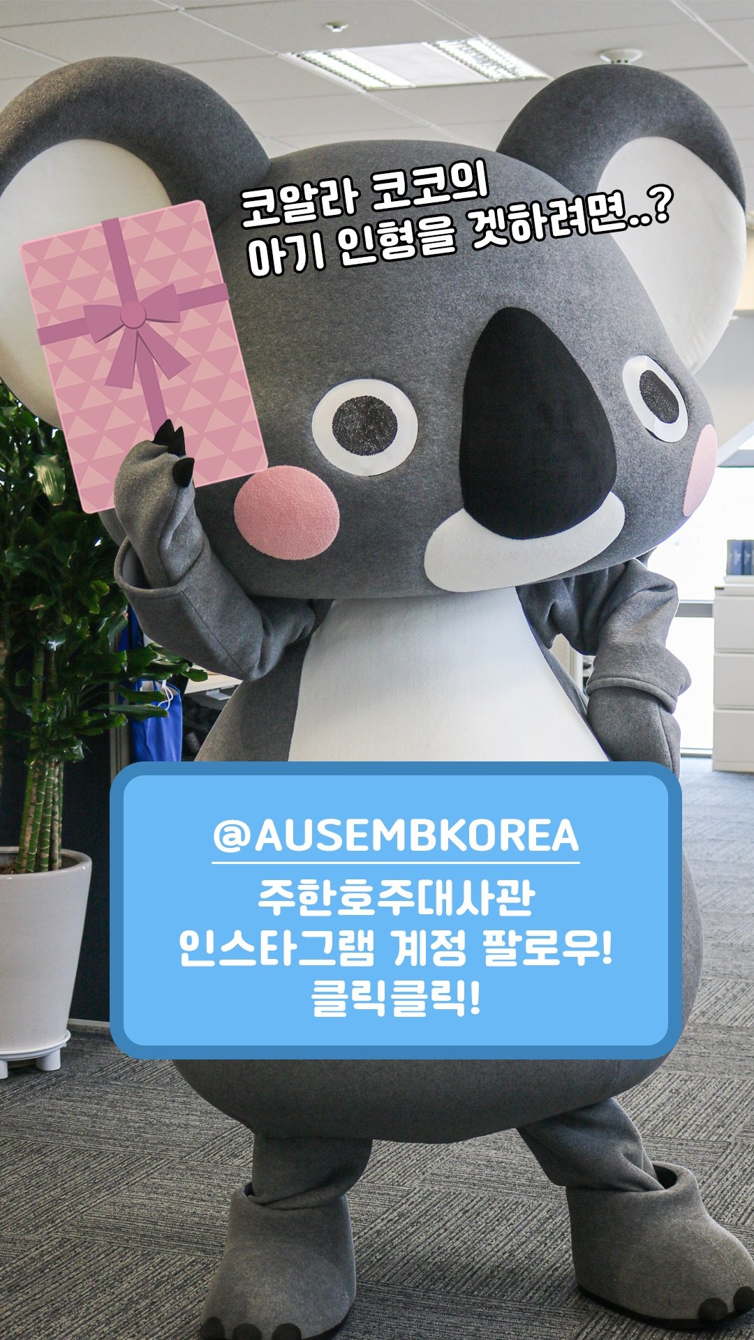 Tap for the chance to win with Koko!